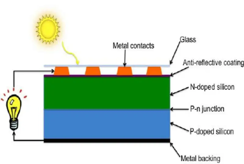 Schematic of the basic structure of a silicon solar cell