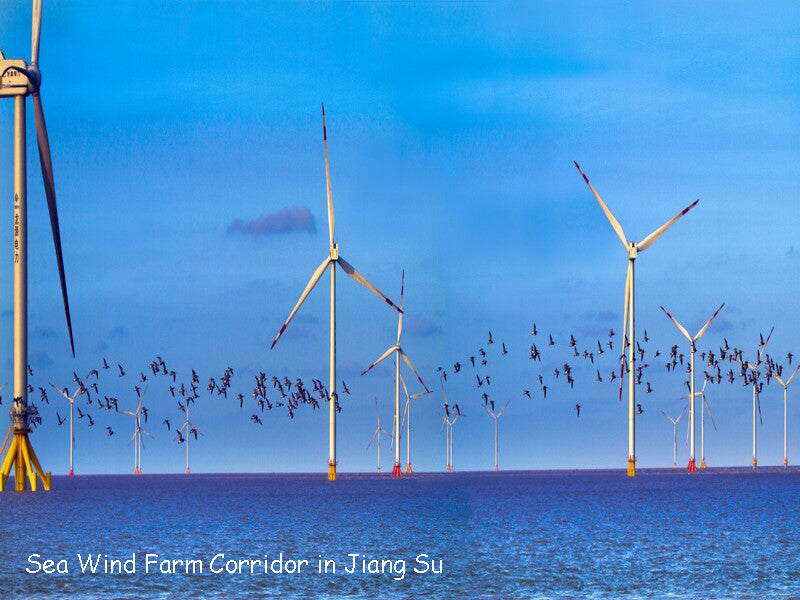 Sea Wind Farm Corridor in Jiang Su