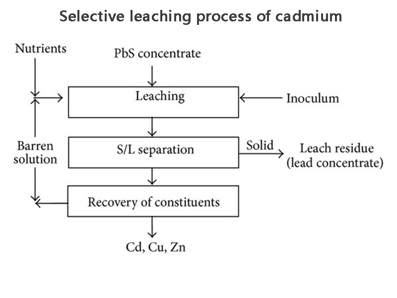 Selective leaching process of cadmium