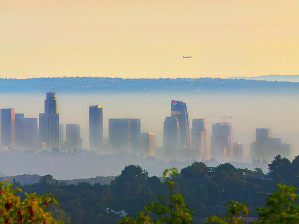 The City of Angels is shrouded in smoke