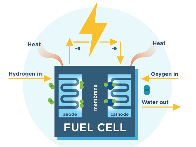 The fuel cell
