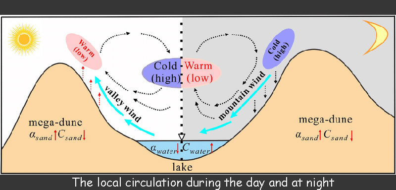 The local circulation during the day and at night