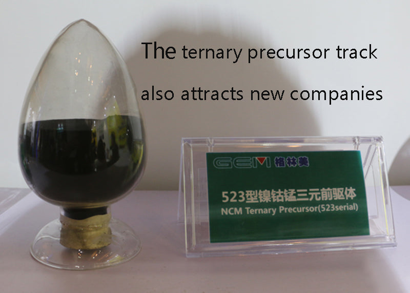 The ternary precursor track also attracts new companies
