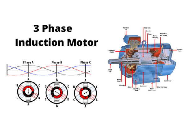 Three-phase AC motor