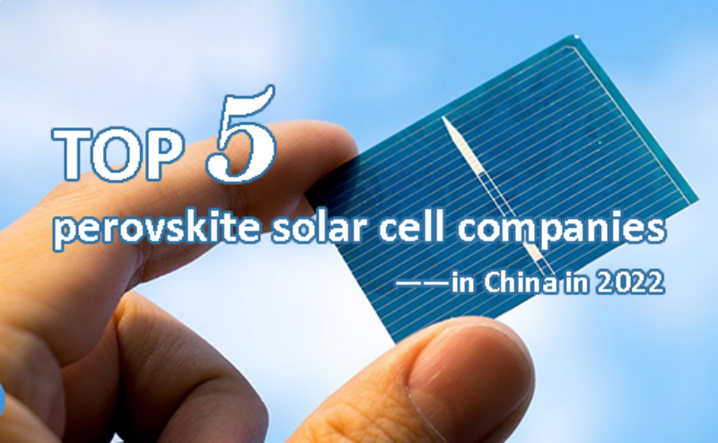 Top 5 perovskite solar cell companies in China