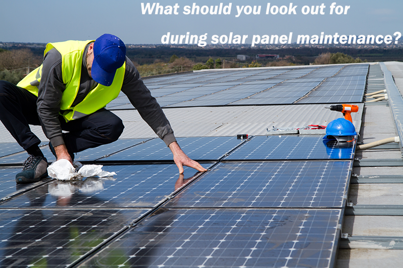 What should you look out for during solar panel maintenance