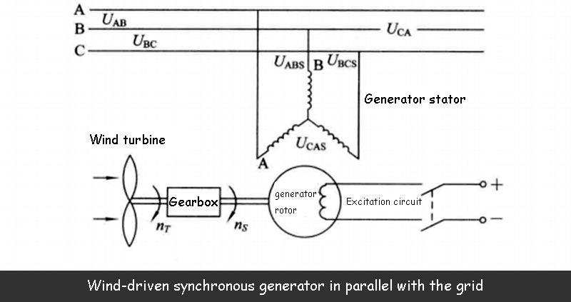 Wind-driven synchronous generator in parallel with the grid