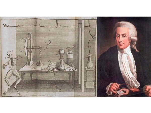  Peter von Moshbruck and his Leiden Flask