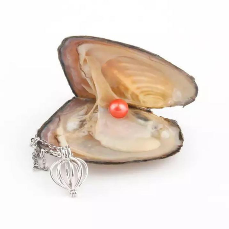 Pearl? - Natural Oyster Pearl Necklace