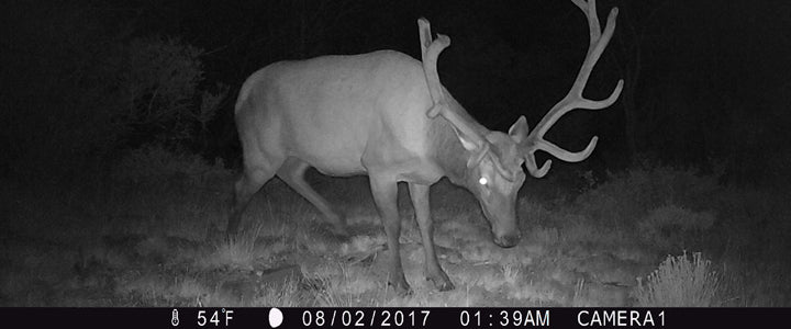  you can minimize the chance of spooking deer by using the right technology. 