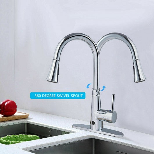 Pull-down Single Handle Dual Spray Chrome Kitchen Faucet