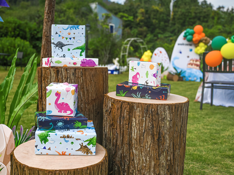 wernnsai dinosaur party gift wrapping
