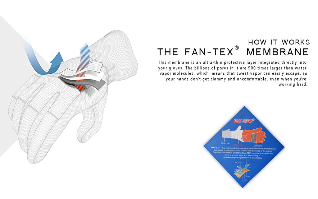 FAN-TEX