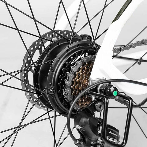 A person lubricating an e-bike chain.