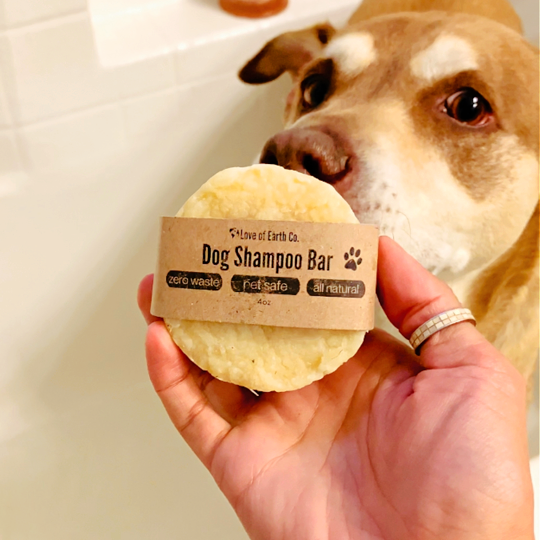 Dog Shampoo Bar