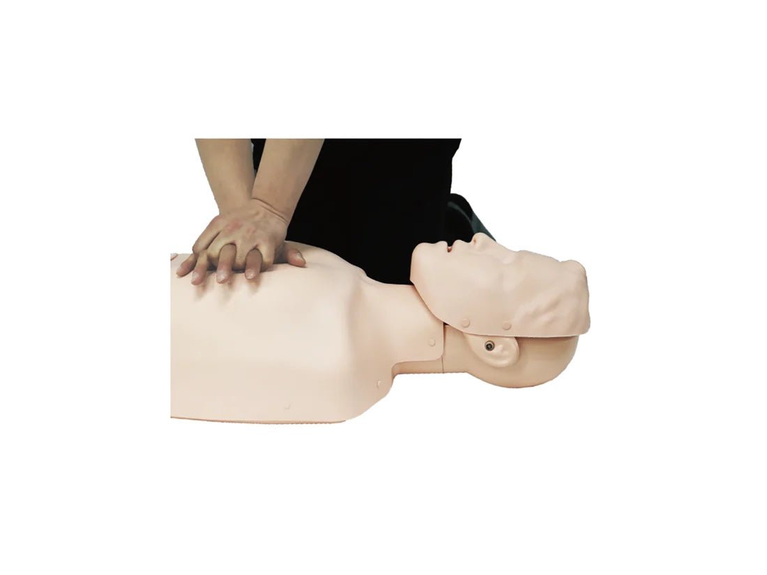 BT Inc Sherpa Plus CPR Trainer with LED Display and Magnetic AED Pads