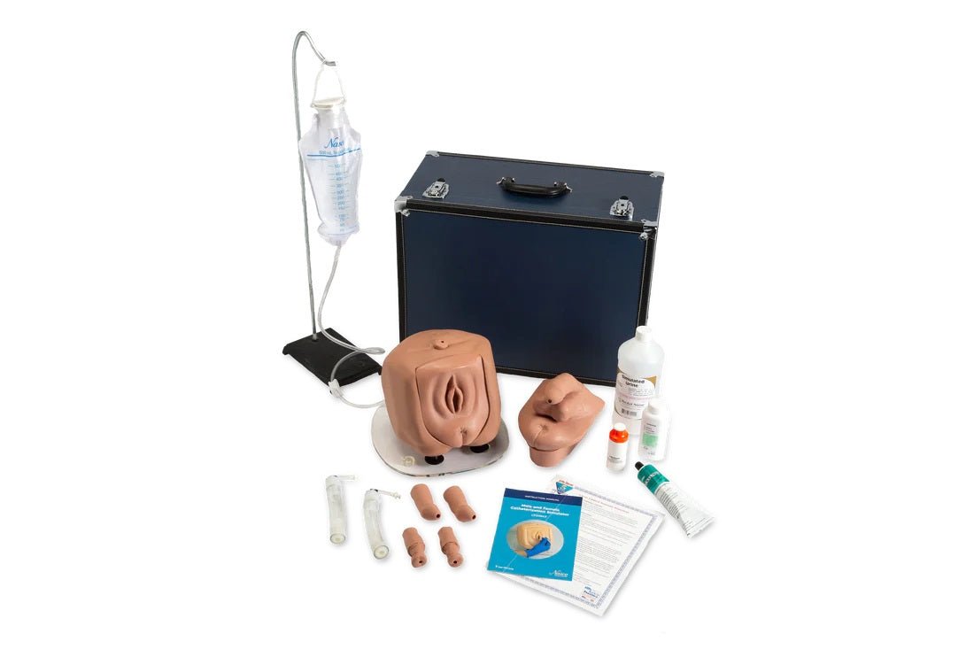 Nasco Healthcare Male/Female Catheterization Simulator