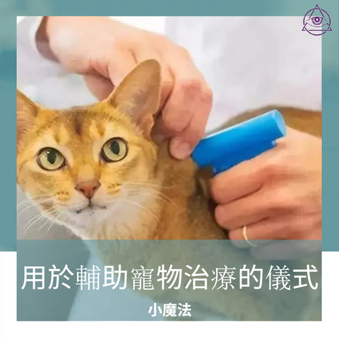 用於輔助寵物治療的儀式