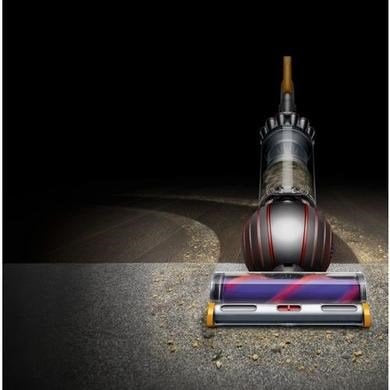 Dyson Ball Animal Upright