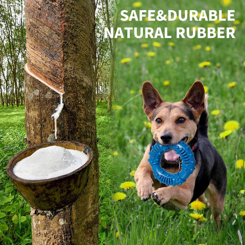 Natural rubber dog chew ring toy