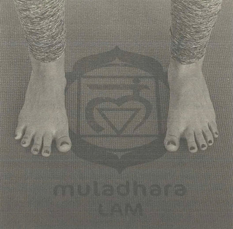 first chakra symbol