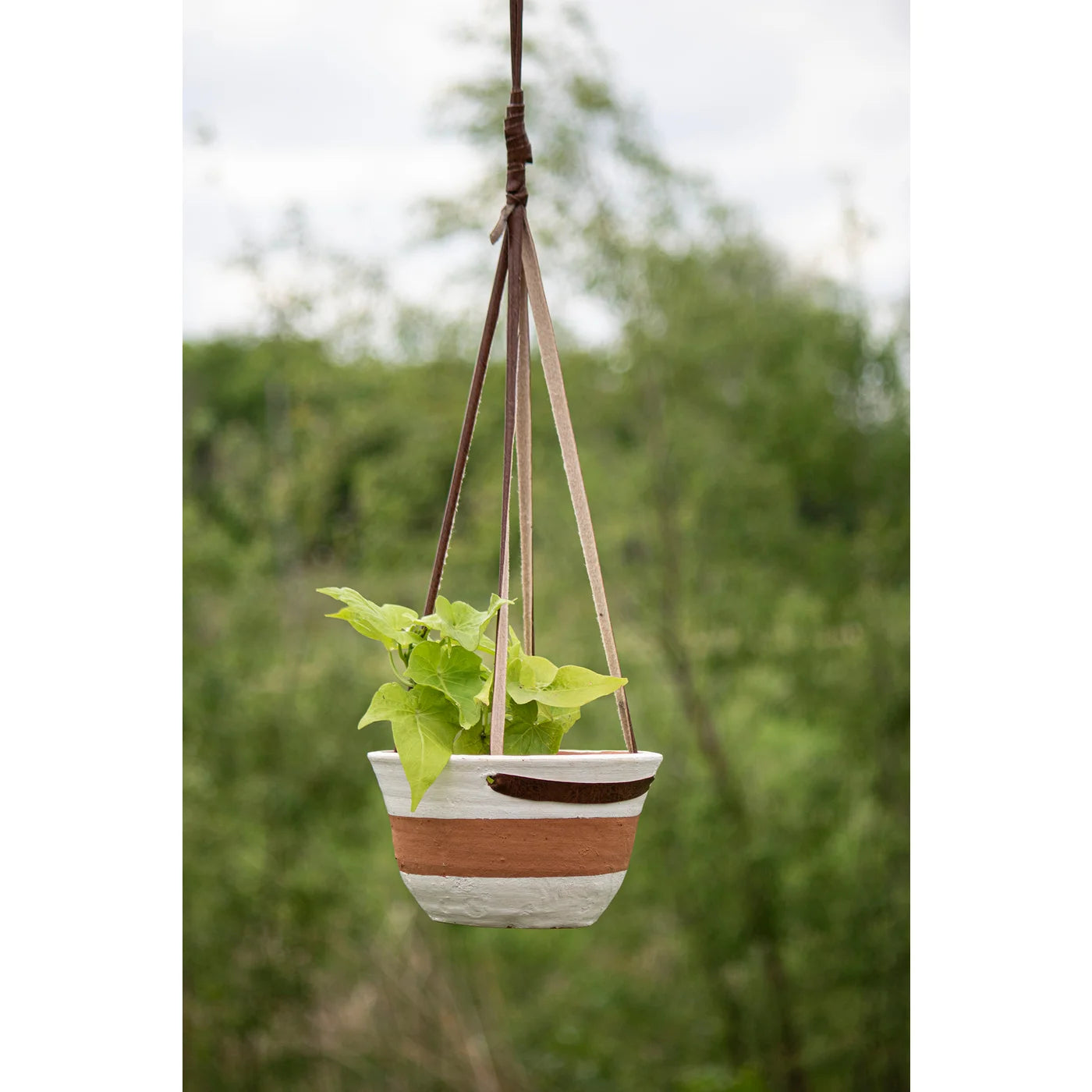 Hanging Terracotta Planter