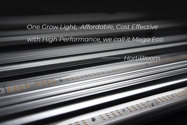 mega eco 720 led grow light
