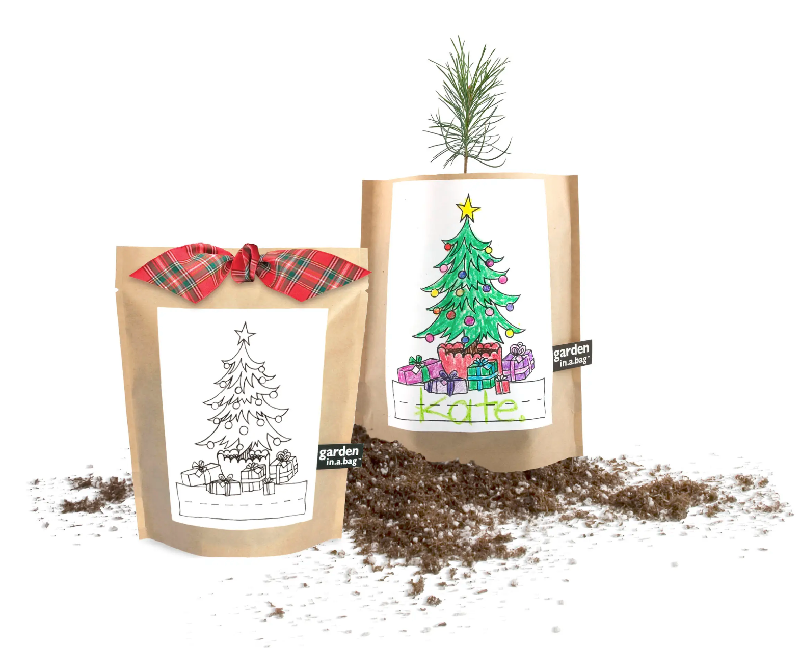 Kids Garden in a Bag | Christmas Tree