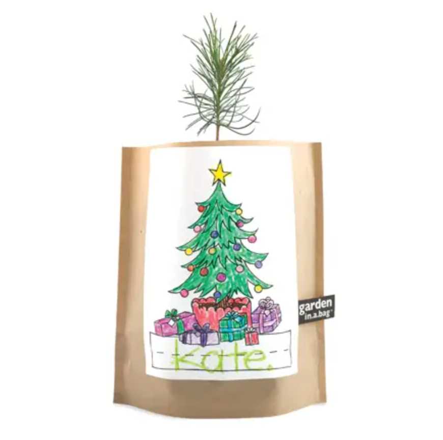 Kids Garden in a Bag | Christmas Tree