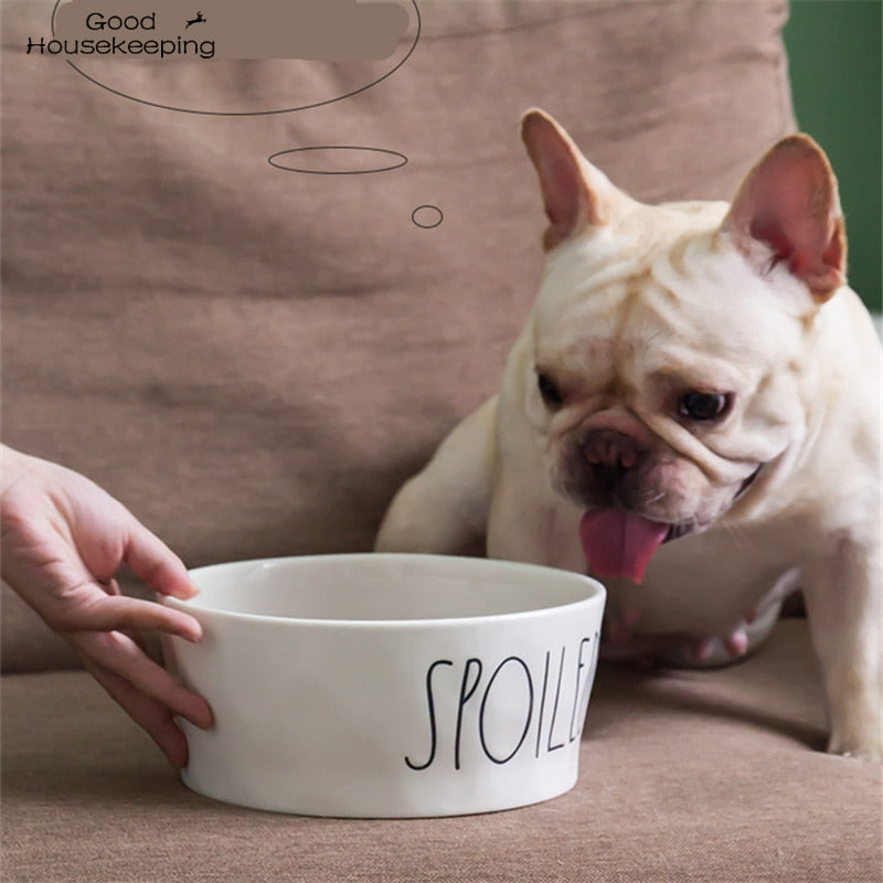 Pet Food Water Bowls