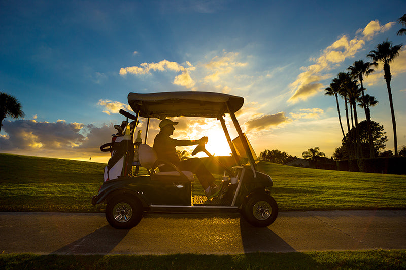 10L0L golf cart charger