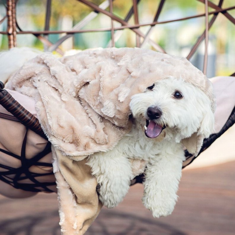 Velvet Blanky Pet Blanket with Paw Print Design