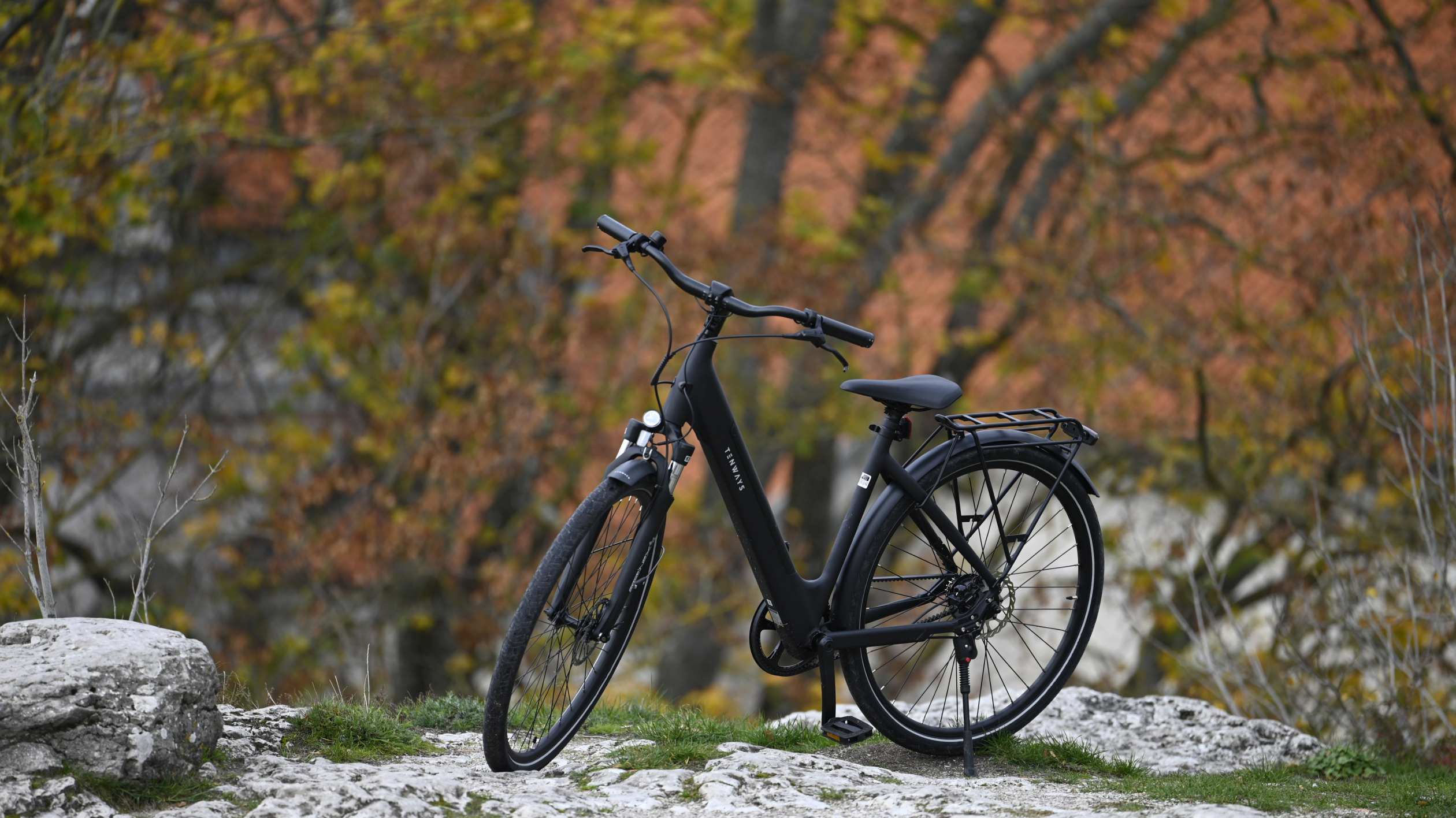 tenways bike forest