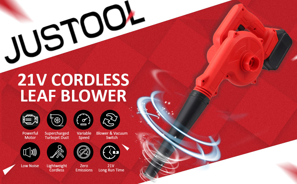 Cordless 2025 sweeper blower