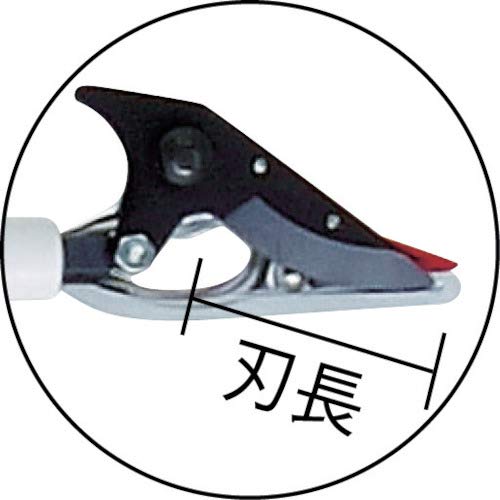 Ars Corp Ultra-Light Telescopic 150Zz-2.8-6D High Branch Scissors