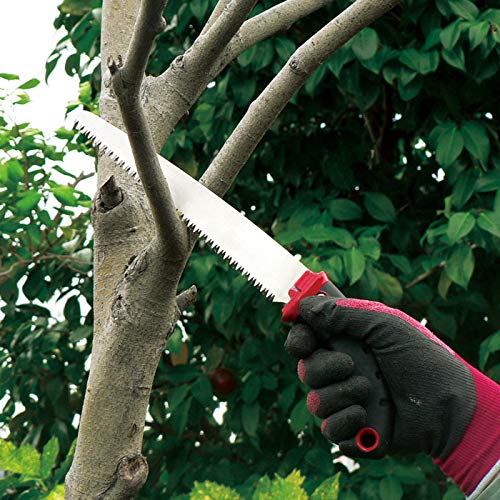 Ars 21Sg-21 Fruit Tree Pruning Saw