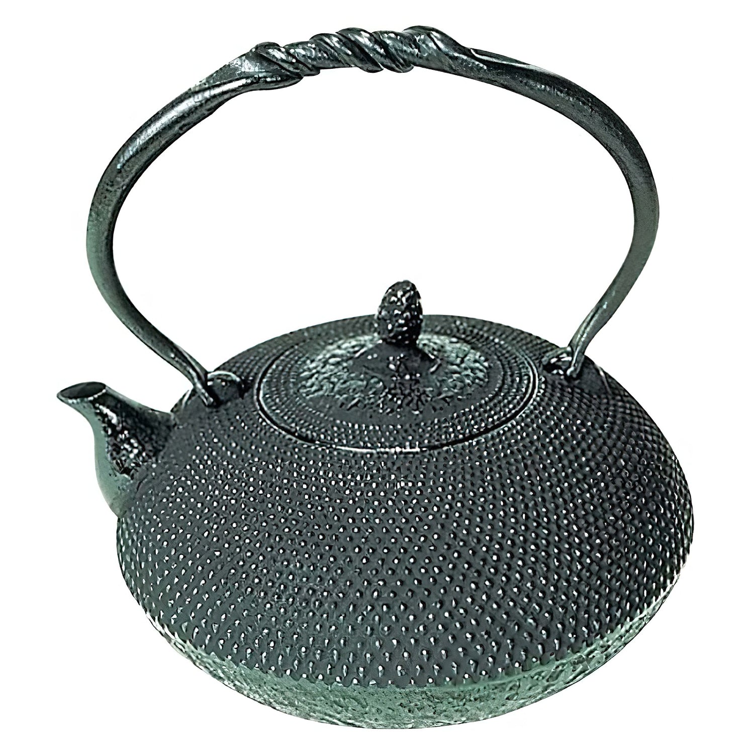 Goshin Cast Iron Tetsubin Kettle Arare - Premium Quality Tea Pot