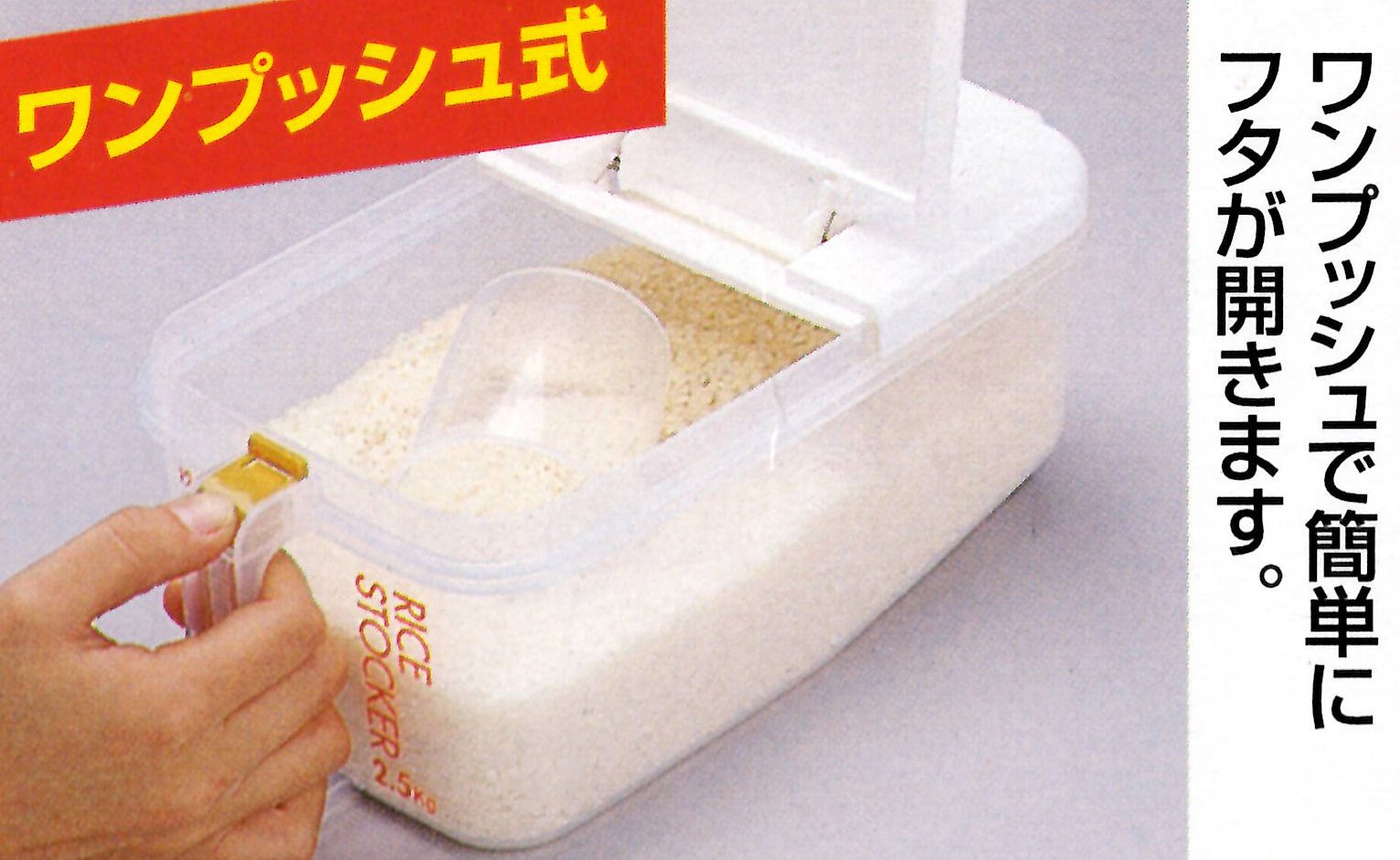 Skater 2.5Kg Refrigerator Rice Bins - Horizontal, Made In Japan
