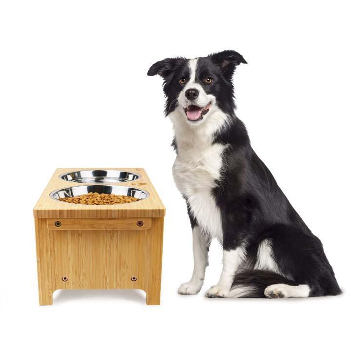 elevated dog bowls for large breeds with stainless steel bowls
