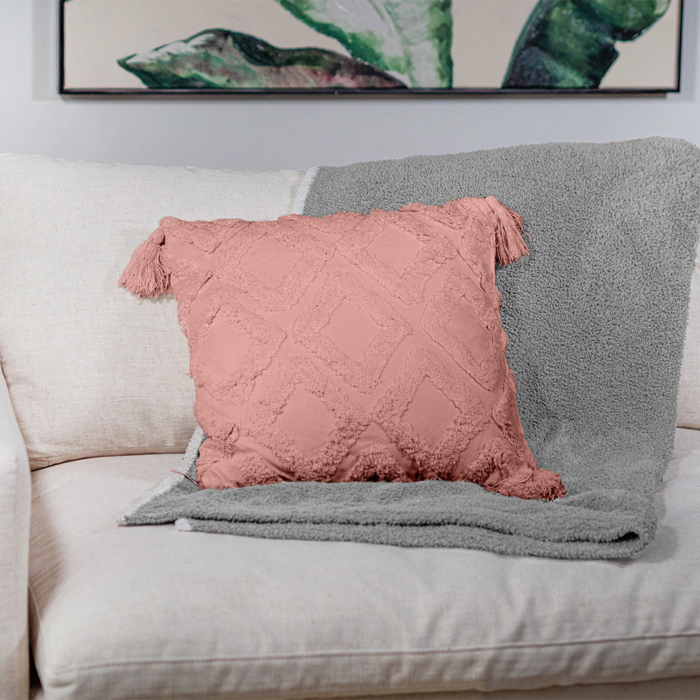 Decorative Throw Pillows - 2 Pack