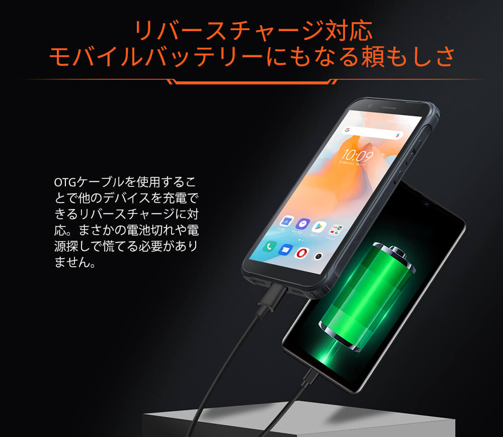 Blackview BV4900s
