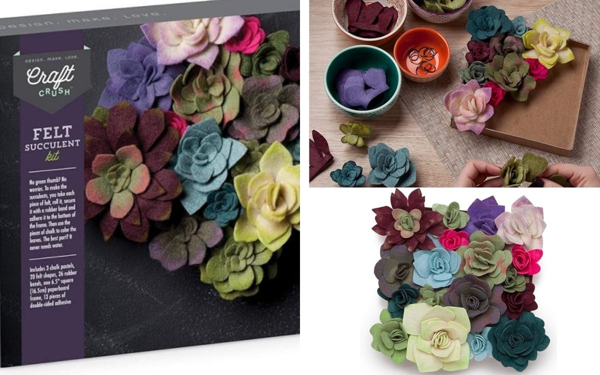 Felt Succulents Craft Kit