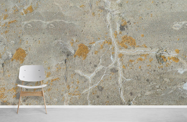 Natural Stone Wallpaper Mural