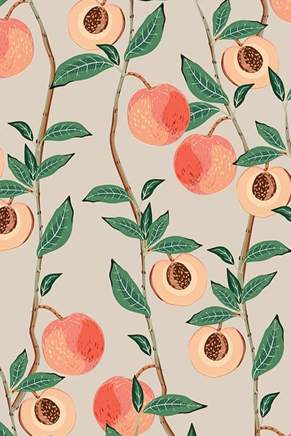 0 Cute Peach Background s  Wallpaperscom