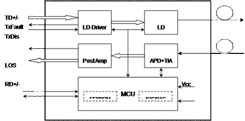 optic module