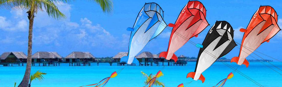 Image 3D Kite Large Blue Dolphin Breeze Beach Kites with Huge Frameles –  imagestoreus