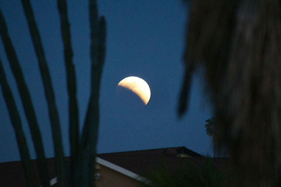 super flower blood moon in a phase toward total