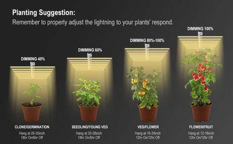 SAMPHON LED Grow Light 400W 5x5ft Coverage Daisy Chain Plant Grow Ligh –  SAMPHON LED Lights