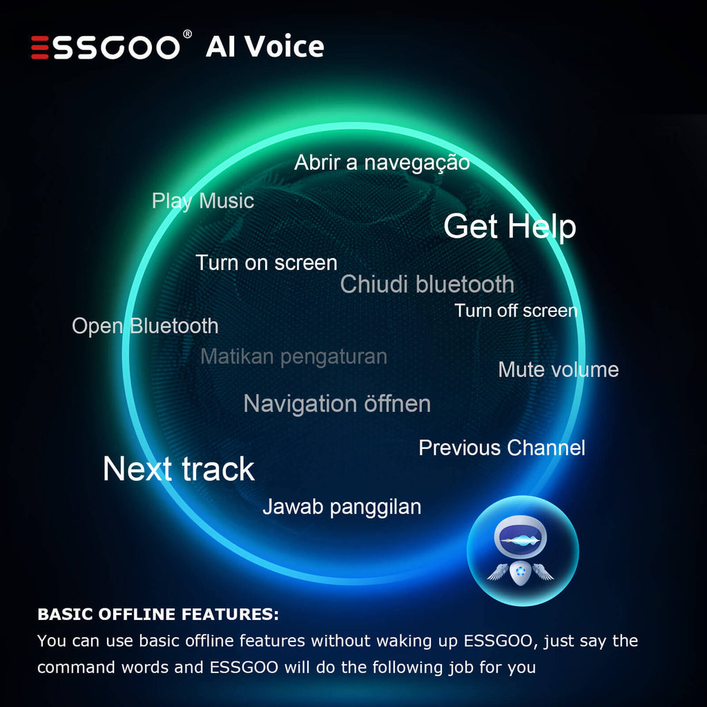 OFFLINE FEATURES of ESSGOO AI Voice