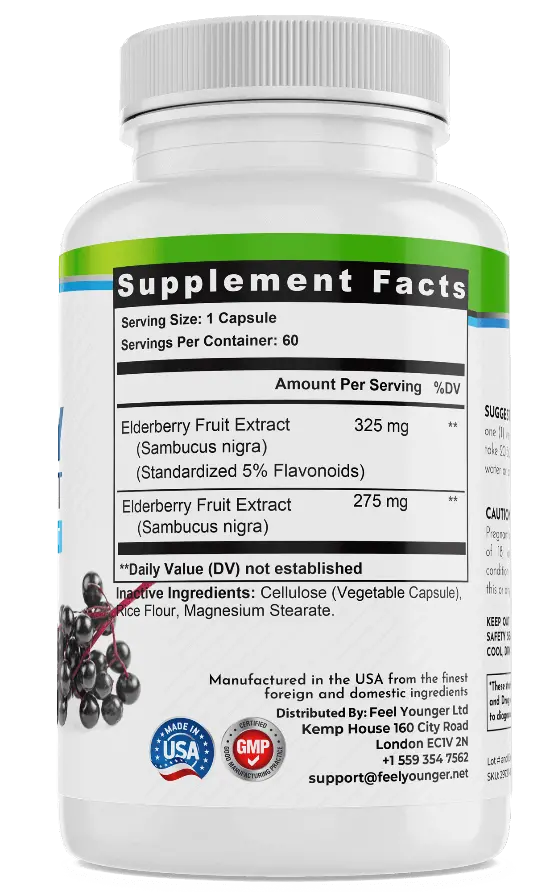 Black Elderberry Capsules Immune Defense Supplement 600mg